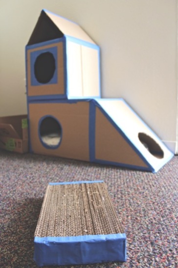 cat house project